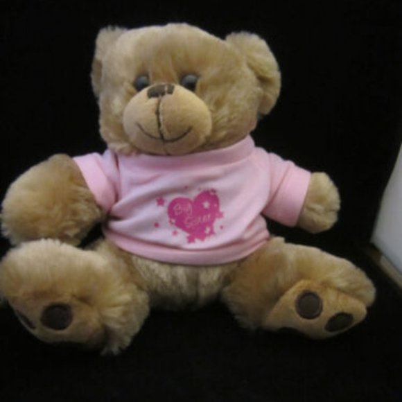 Teddy Bear Plush Big Sister Pink Shirt Stuffed Animal Toy 8” NEW Soft Baby Gift - Picture 1 of 1
